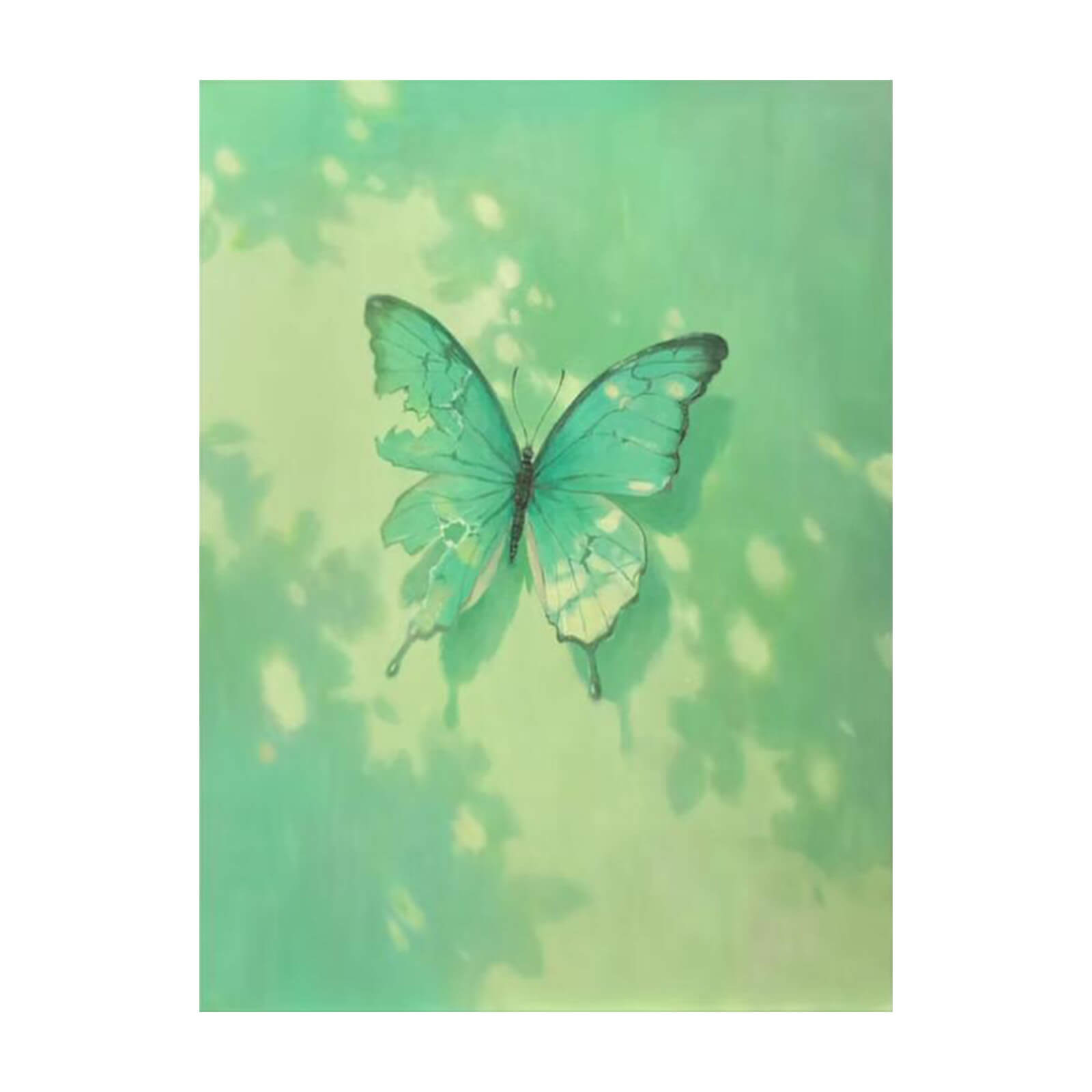 Butterfly Green Canvas Oil Painting Wall Art Decor #ANM1761