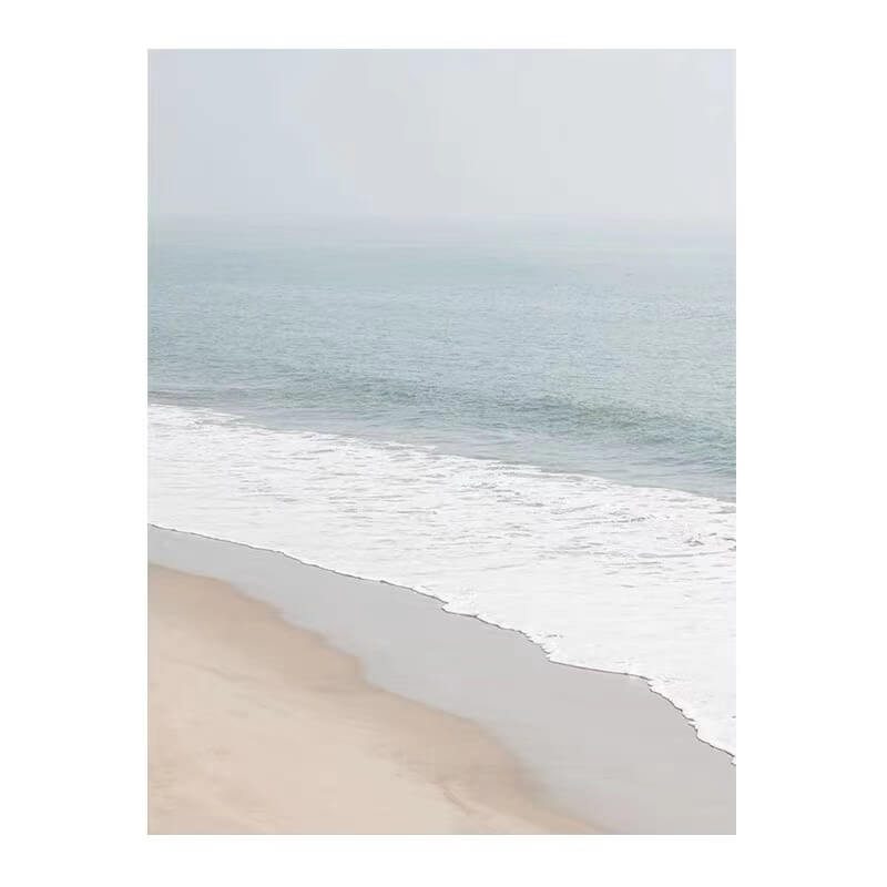 Beach Canvas Oil Painting Wall Art Decor #ABS1478