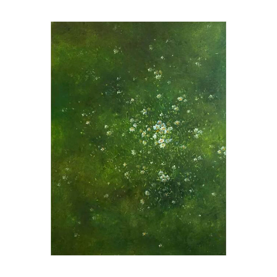 Wildflower Daisy Canvas Oil Painting Wall Art Decor #GLF1781